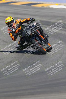 media/Sep-25-2023-Moto Forza (Mon) [[81ffa65e0a]]/A Group/Session 2 (Turns 9 and 10)/